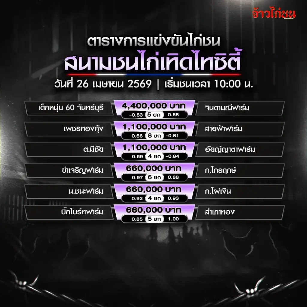 โปรแกรมไก่ชน สนามเทิดไทซิตี้ วันที่ 26 เมษายน 2569