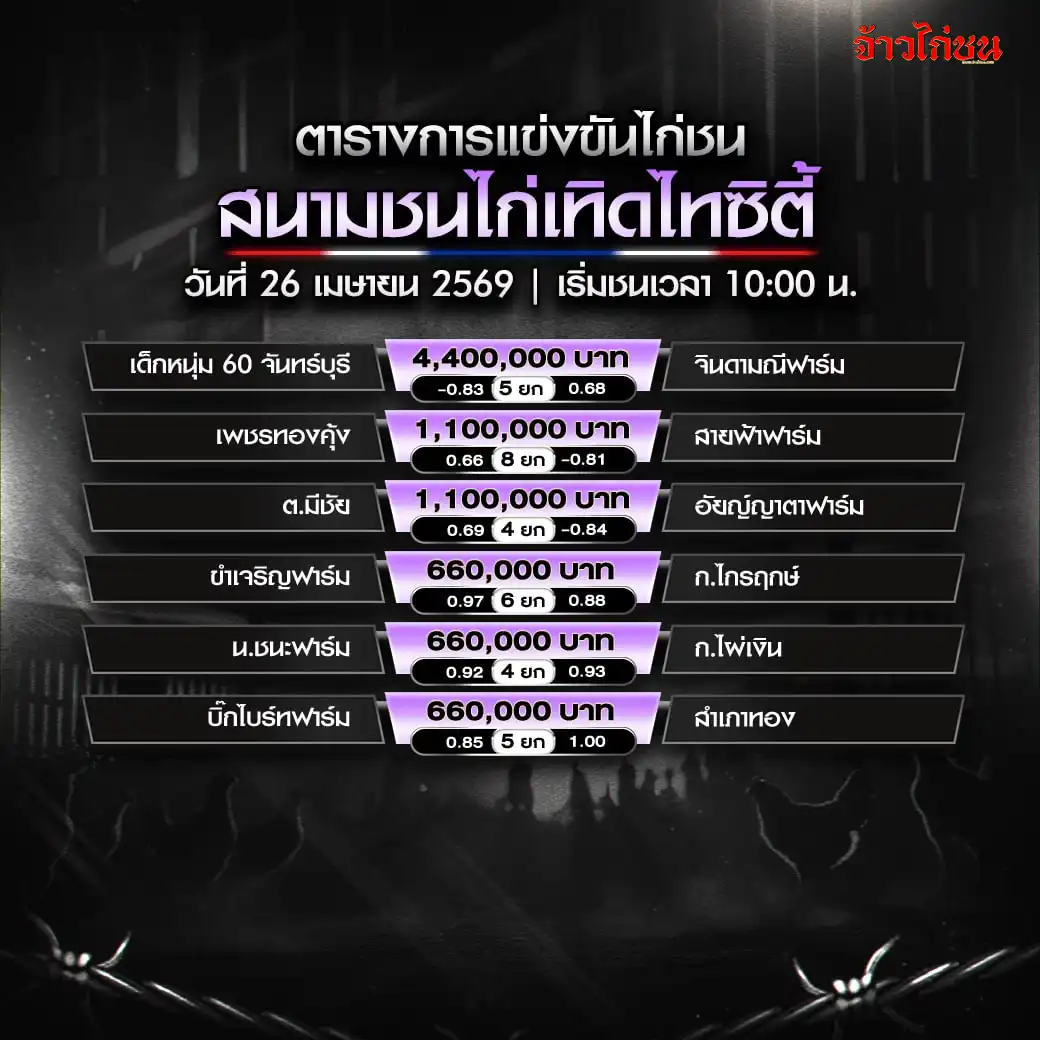 โปรแกรมไก่ชน สนามเทิดไทซิตี้ วันที่ 26 เมษายน 2569