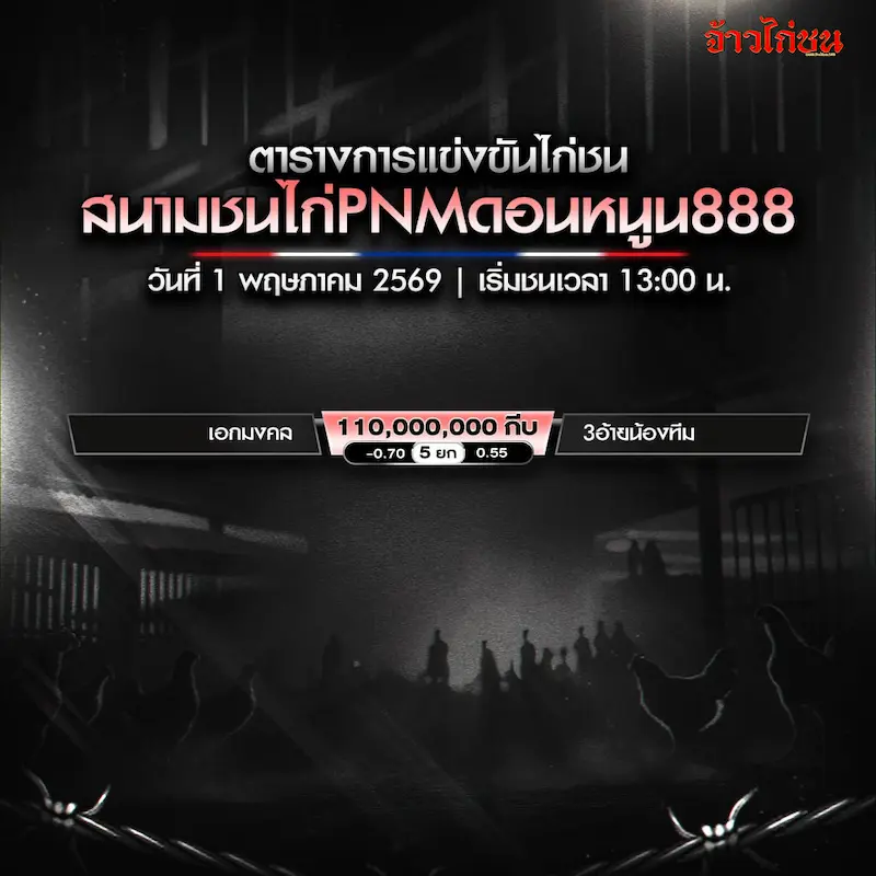 โปรแกรมไก่ชน สนามชนไก่ PNM ดอนหนูน 888 วันที่ 1 พฤษภาคม 2569
